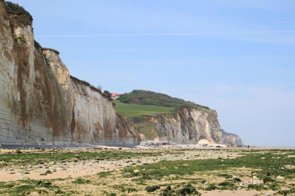 Bel Appartement Vue Mer Centre-Ville, Face Plage Dieppe Eksteriør bilde